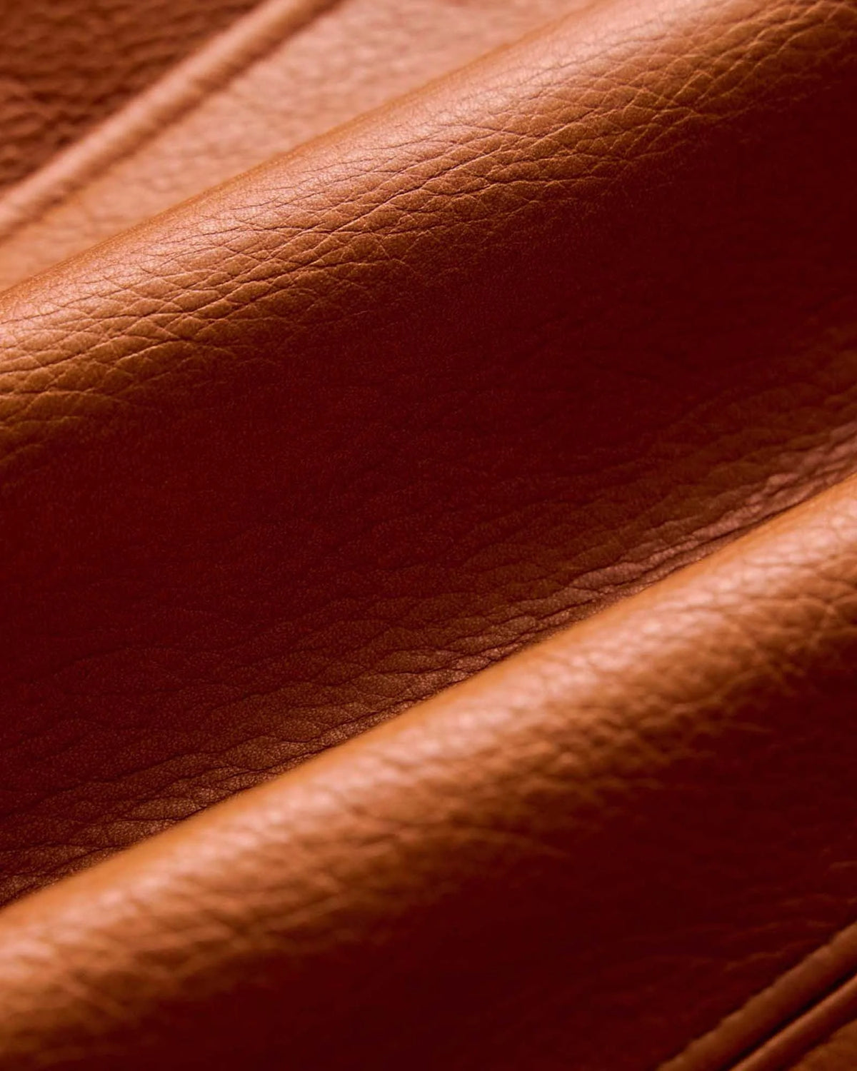 The Moto Jacket in Whiskey Steerhide