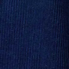 The Apres Short in Rinsed Indigo Pincord