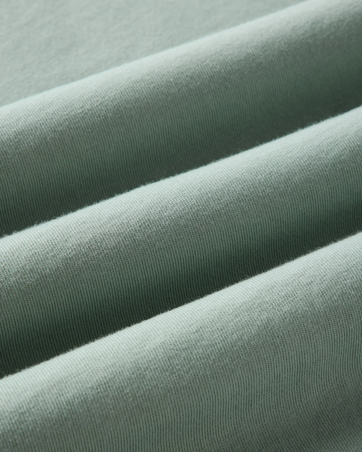 The Regenerative Cotton Tee in Faded Pine