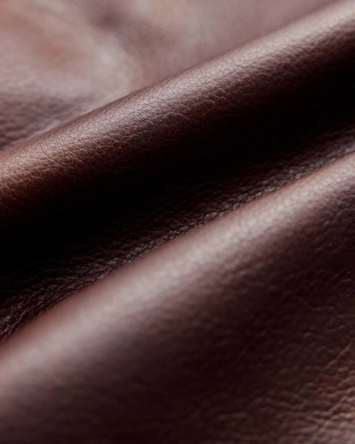 The Moto Jacket in Espresso Steerhide