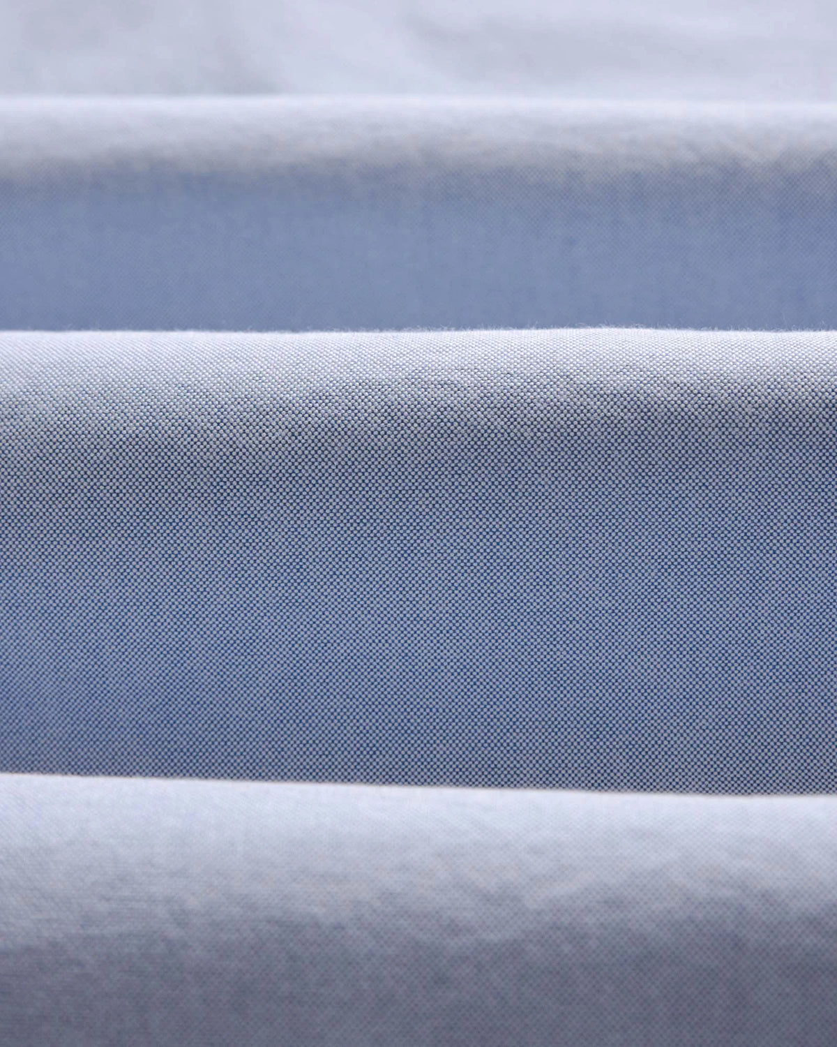 The Jack in Blue Everyday Oxford